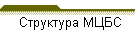 Структура МЦБС